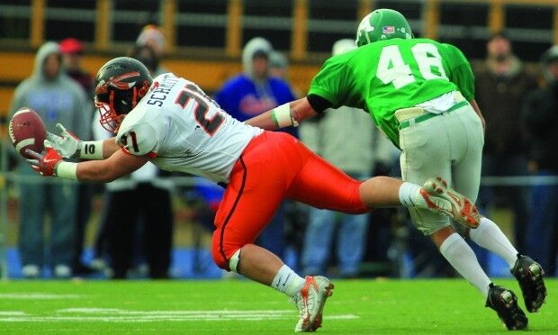 AllemanFB112010js